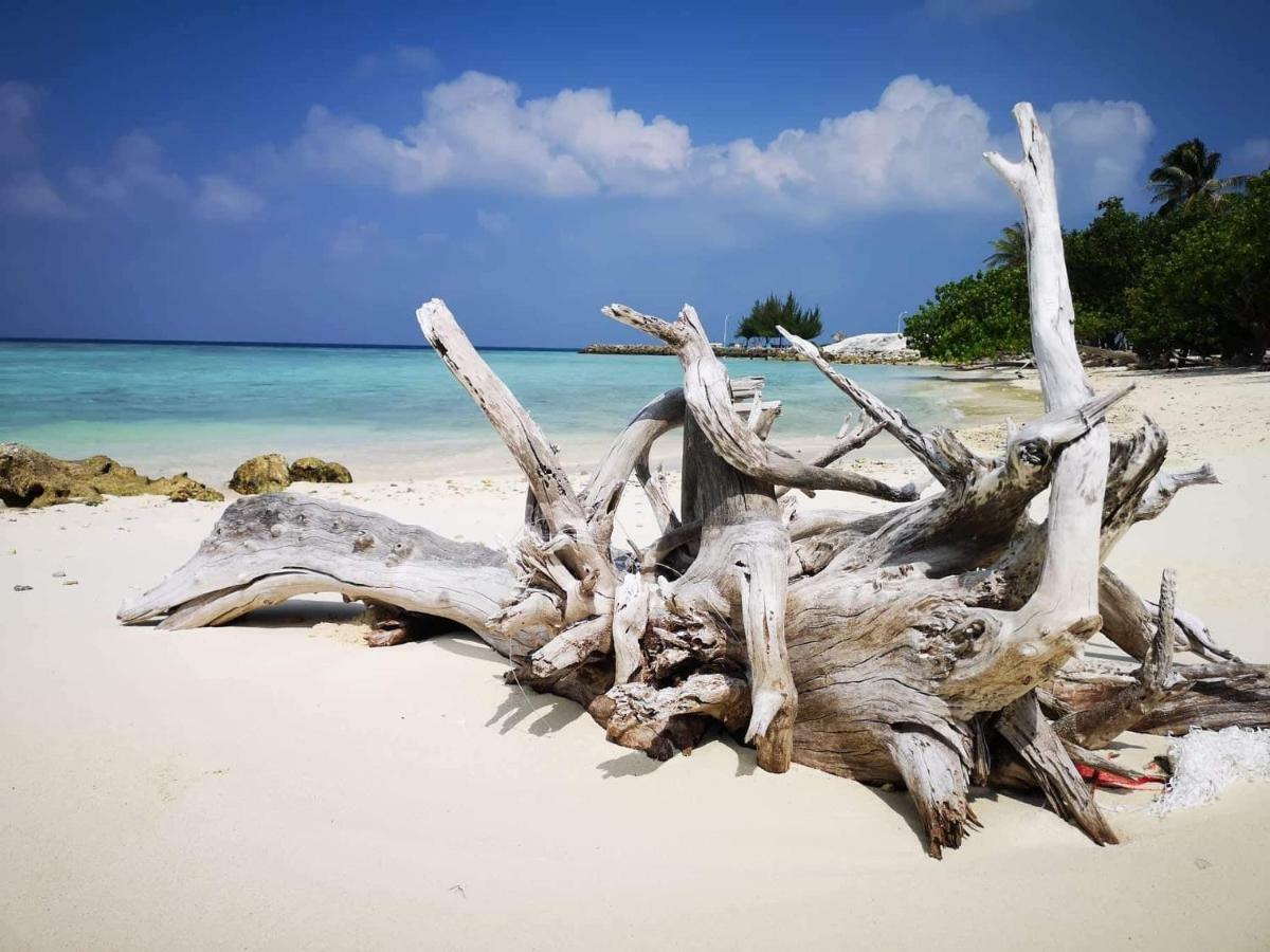 String Wave Maldives Otel Gulhi Dış mekan fotoğraf